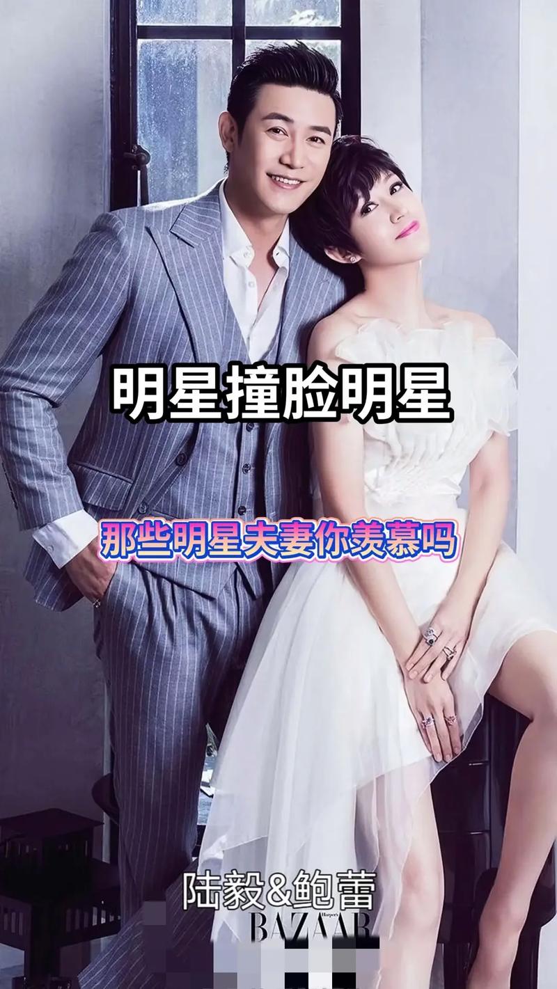 明星夫妻名單大全，揭秘娛樂圈的愛情佳話，娛樂圈明星夫妻名單揭秘，愛情佳話大全