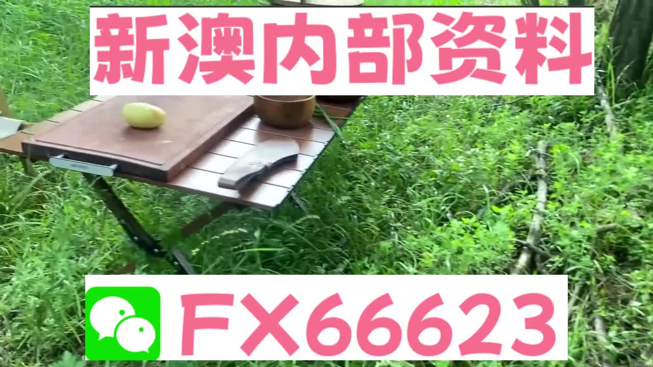 新奧天天精準(zhǔn)資料大全，全方位解讀與SEO優(yōu)化策略，新奧天天精準(zhǔn)資料大全，全方位解讀與SEO優(yōu)化策略指南