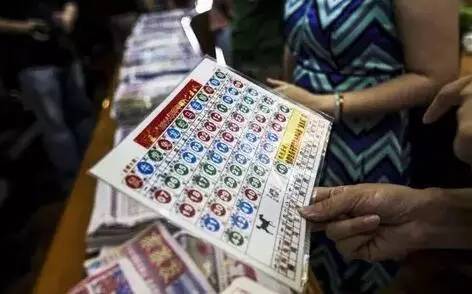 香港王中王開獎(jiǎng)結(jié)果查詢，今晚開獎(jiǎng)盛況一覽，香港王中王開獎(jiǎng)結(jié)果查詢，今晚盛況揭曉，最新開獎(jiǎng)信息一覽