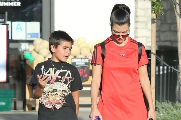 王中王兔費一肖，揭秘背后的秘密與SEO策略，揭秘王中王兔費預測背后的秘密與SEO策略