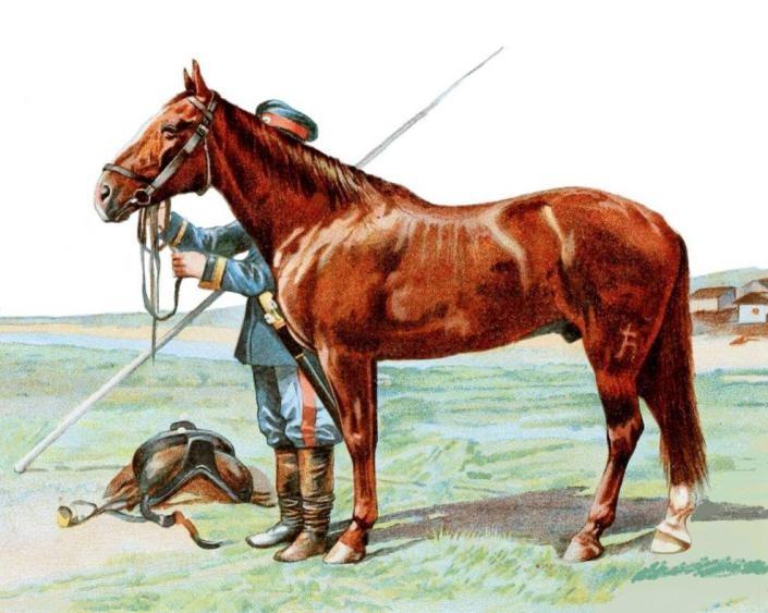 伊犁，探尋新疆的明珠之地的獨特魅力，伊犁，新疆明珠的獨特魅力探尋之旅