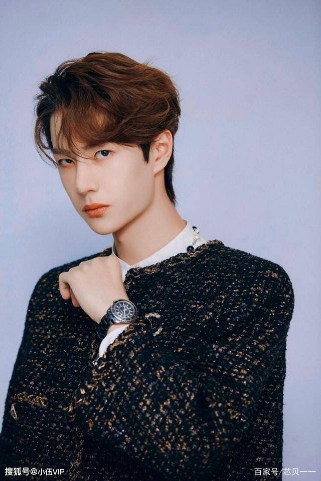 王中王一肖中特資料圖片——深度解析與SEO優(yōu)化文章，王中王一肖中特資料圖片的深度解析與SEO優(yōu)化探討