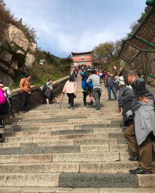 揭秘每年爬泰山死亡人數(shù)背后的故事，揭秘泰山登山死亡人數(shù)背后的故事