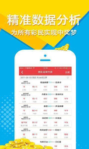 王中王四肖選一碼，揭秘彩票背后的秘密策略與技巧，揭秘彩票策略與技巧，王中王四肖選一碼指南