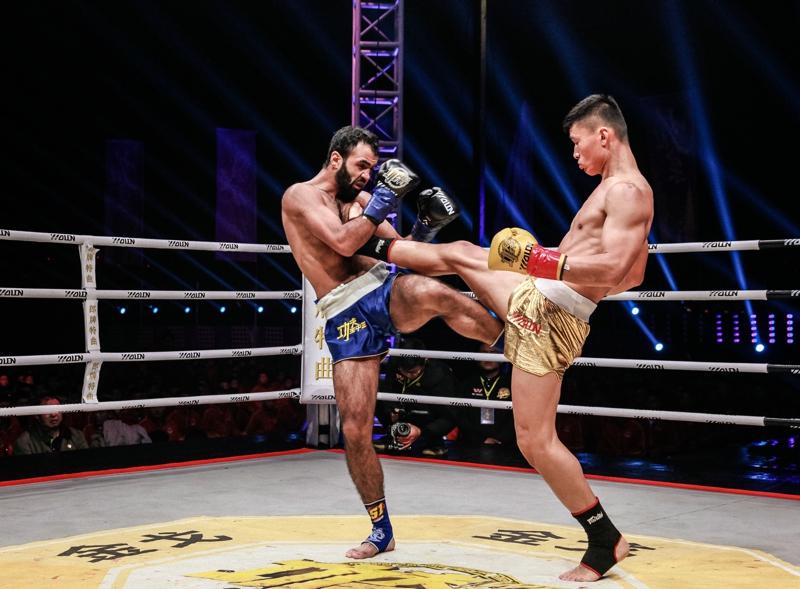 王中王網(wǎng)四肖主一碼，深度解析與SEO優(yōu)化策略，王中王網(wǎng)四肖主一碼，深度解析與SEO優(yōu)化策略全攻略