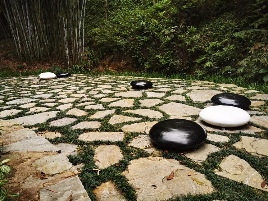 南寧一日游最佳景點推薦，探索綠城之美，南寧一日游必去景點推薦，探尋綠城之美