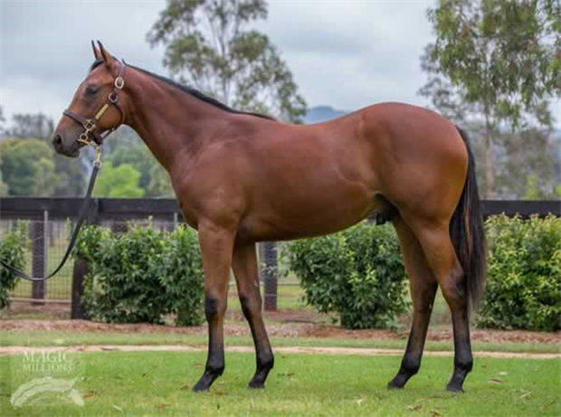 2025新澳免費(fèi)資料曬馬匯——探索最新資訊與資源，2025新澳免費(fèi)資料曬馬匯，最新資訊與資源探索