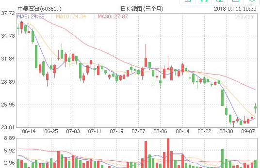 揭秘603619股票，潛力股的投資價(jià)值與前景展望，揭秘603619股票，潛力股的投資價(jià)值深度分析與前景展望