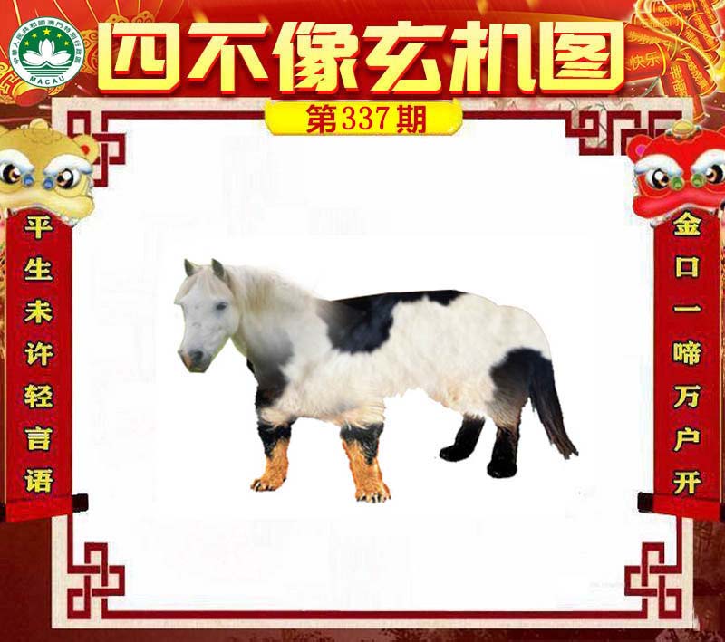 揭秘王中王四不象必中一肖的神秘面紗，揭秘王中王四不象必中生肖的神秘面紗