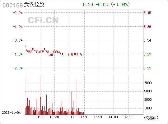 武漢控股股票（股票代碼，600168）深度解析，武漢控股股票（股票代碼600168）全面深度解析