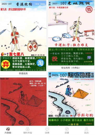 2004新澳門天天開好彩大全正版——全面解析與回顧，澳門彩票解析與回顧，2004年天天好彩正版大全