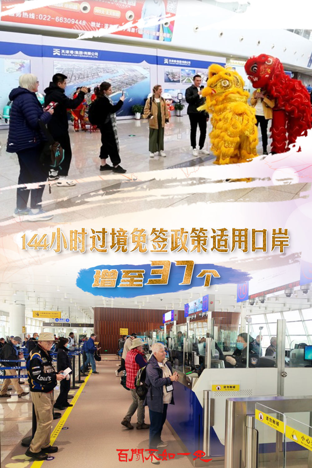 澳門王中王，揭秘一肖一特一中奧秘，澳門王中王揭秘生肖秘密，一肖一特一中奧秘探秘