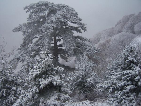華山二日游最佳攻略方式，華山二日游最佳攻略攻略詳解