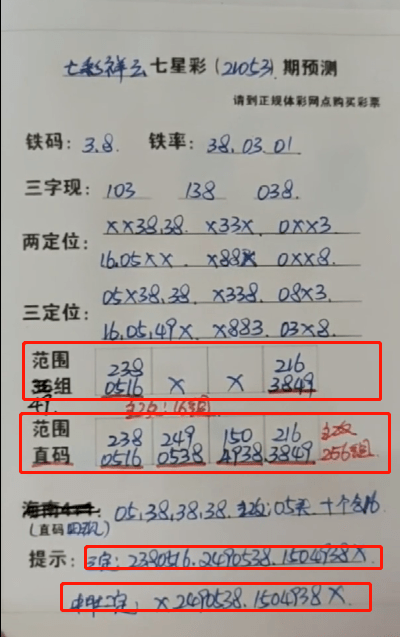 鐵算盆王中王中特一肖，揭秘背后的秘密與策略，揭秘鐵算盆王中王特一肖背后的秘密與策略之道