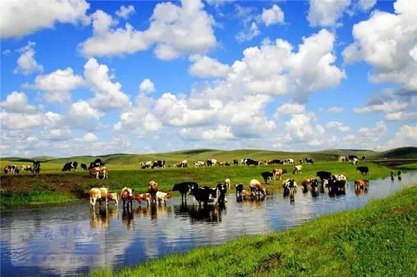 中國(guó)夏季旅游勝地前十名——夏日炎炎，赴一場(chǎng)清涼之旅，中國(guó)夏季旅游勝地TOP10，炎炎夏日，清涼之旅必選之地