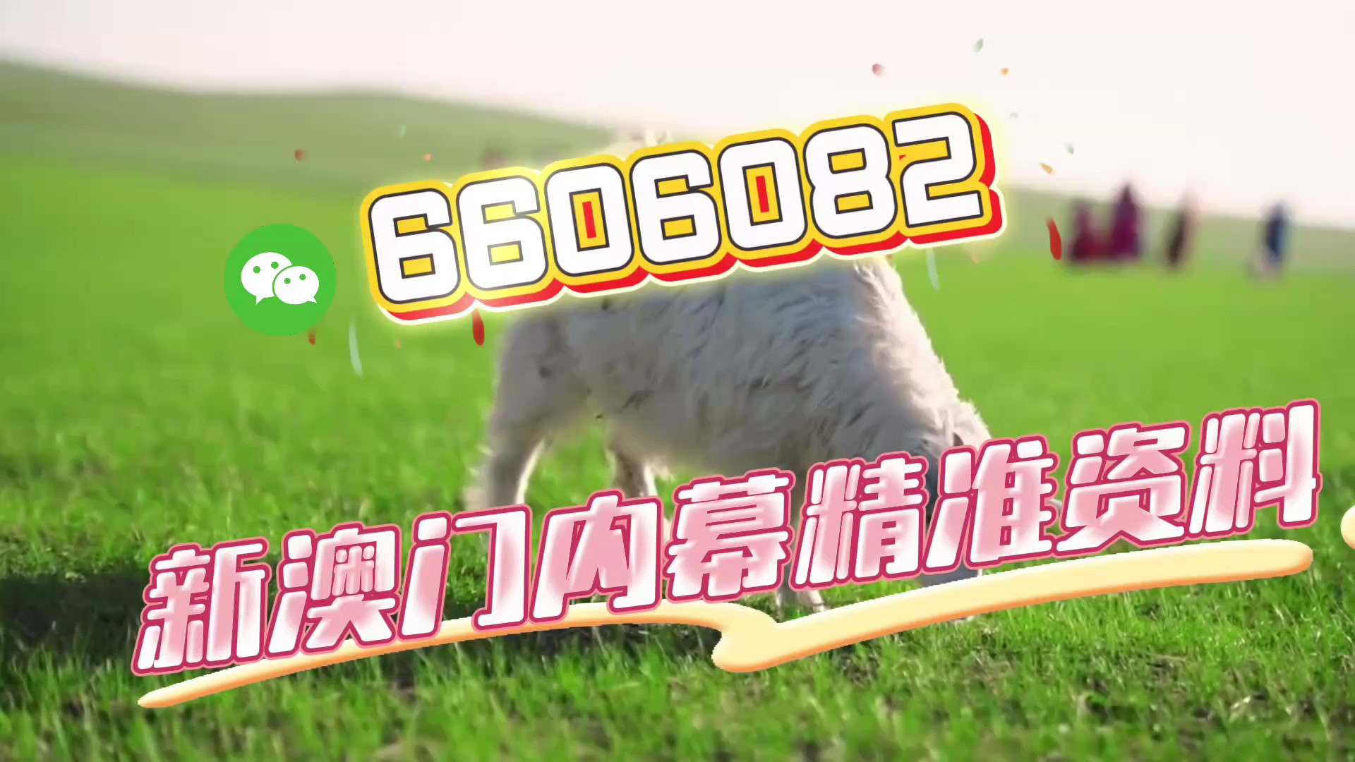 今晚澳門必開一肖一碼，揭秘生肖與彩票的神秘聯(lián)系，揭秘生肖與彩票的神秘聯(lián)系，今晚澳門必開一肖一碼揭曉答案