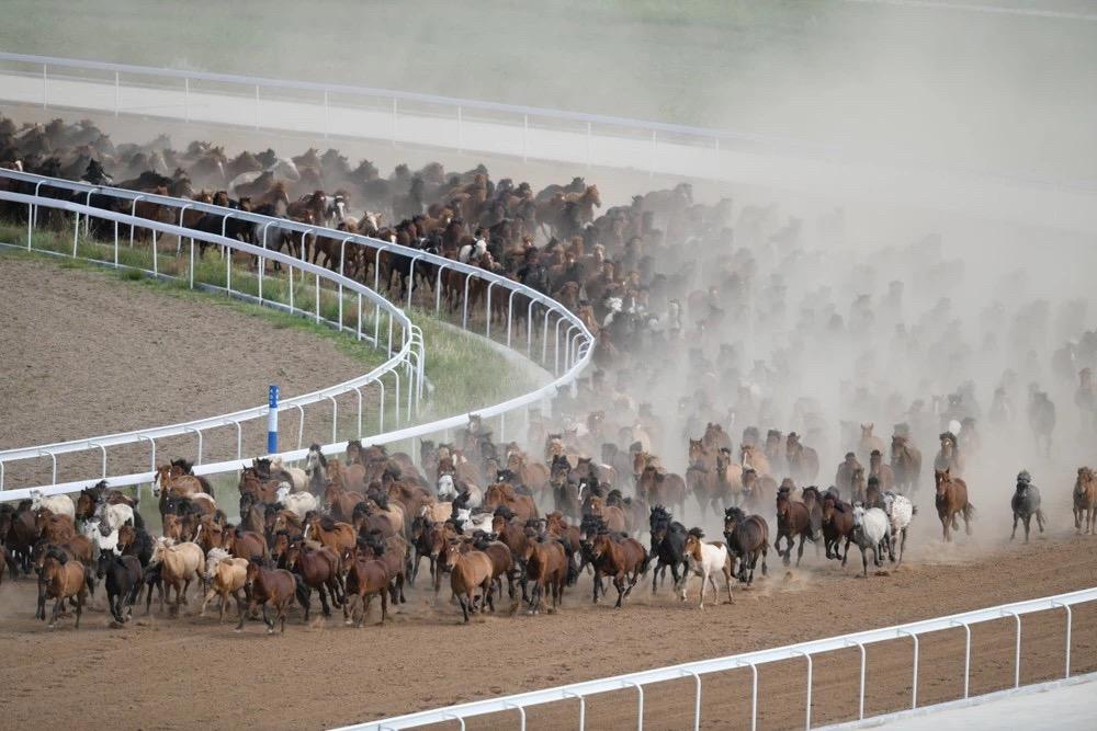 澳門(mén)賽馬會(huì)，最快開(kāi)獎(jiǎng)直播的全面解析，澳門(mén)賽馬會(huì)，最快開(kāi)獎(jiǎng)直播詳解
