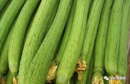 絲瓜，功效、作用與禁忌事項詳解，絲瓜，功效、作用及禁忌事項全解析