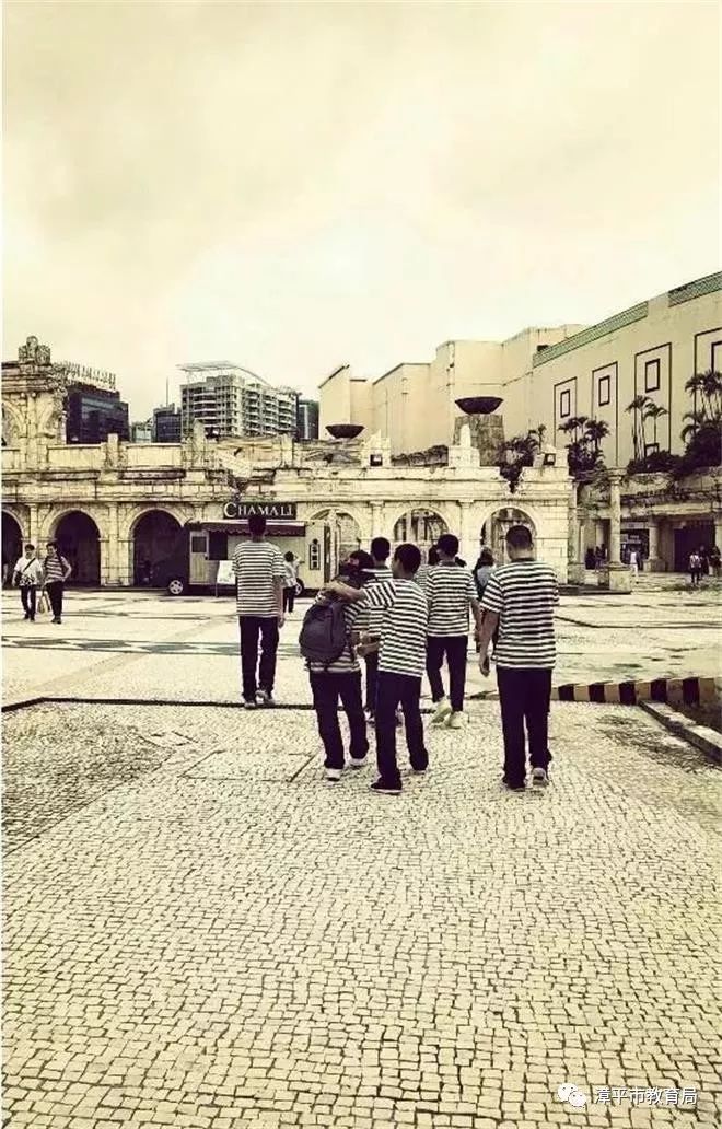 新澳門一碼一肖一特一中，揭秘第52期看圖預(yù)測(cè)的魅力，揭秘新澳門一碼一肖一特一中第52期看圖預(yù)測(cè)的魅力