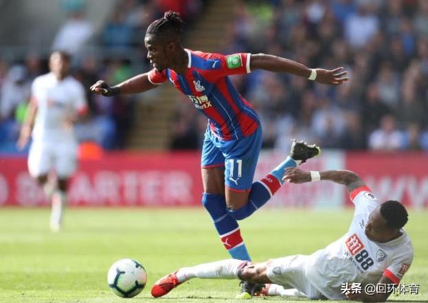 王中王118一肖中特，揭秘精準預測的秘密，揭秘王中王118精準預測一肖中的秘密