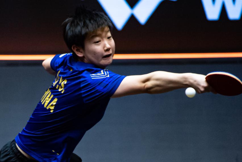 澳門四肖八期期準(zhǔn)免費(fèi)——揭秘彩票預(yù)測(cè)的秘密，澳門四肖八期期精準(zhǔn)預(yù)測(cè)揭秘，彩票預(yù)測(cè)的秘密探索