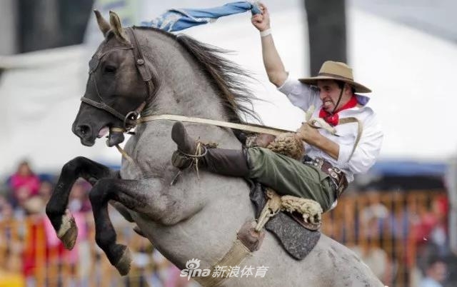 王中王四不像一肖中馬——探尋神秘生肖的魅力，探尋神秘生肖馬之魅力，王中王四不像一肖中馬揭秘