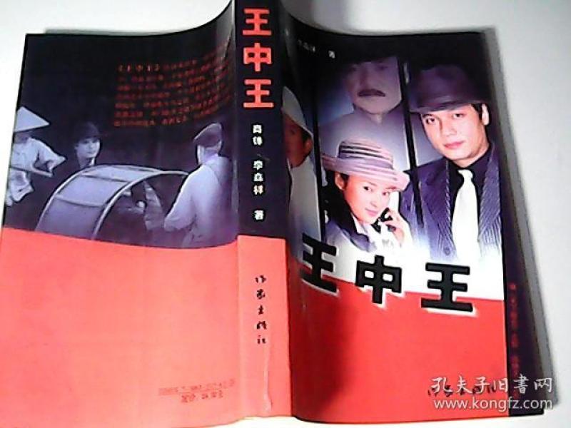 王中王資料一肖中特小說，深度解析與探索，王中王資料一肖中特小說的深度解析與探索之旅