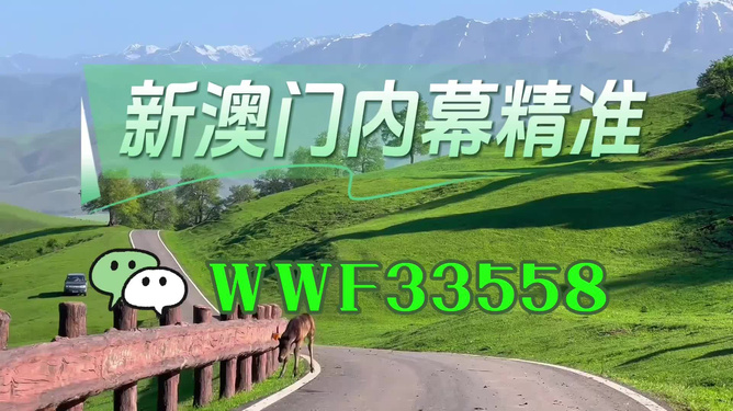 澳門精準(zhǔn)免費(fèi)大全，探索未來的預(yù)測與機(jī)遇（2025年展望），澳門未來展望，精準(zhǔn)預(yù)測與機(jī)遇探索（2025年）