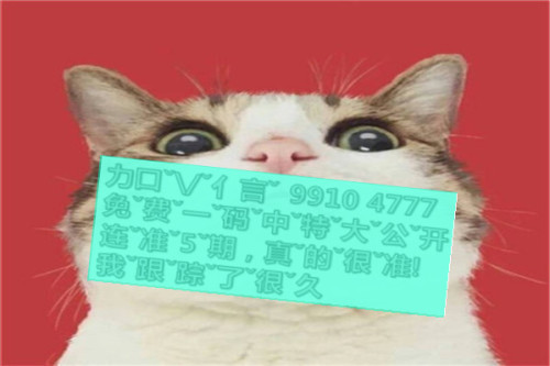 一肖啥意思，深度解析與SEO優(yōu)化文章，一肖含義深度解析與SEO優(yōu)化策略探討