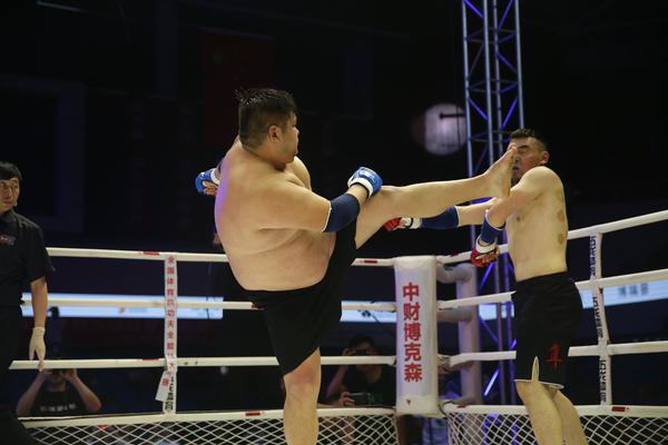 特特馬王中王一碼一肖，揭秘背后的秘密與探索SEO優(yōu)化策略，特特馬王中王一碼一肖，揭秘背后的秘密與SEO優(yōu)化策略探索