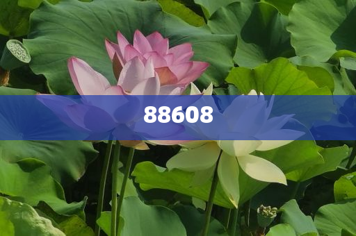 2025正版資料免費公開，獲取優(yōu)質(zhì)資源的全新時代，優(yōu)質(zhì)資源免費公開，開啟全新時代獲取優(yōu)質(zhì)資料之旅