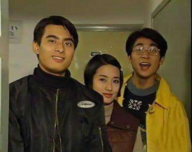 陳龍電視劇作品回顧，一部部經(jīng)典之作，陳龍經(jīng)典電視劇作品回顧，一部部鑄就傳奇的佳作