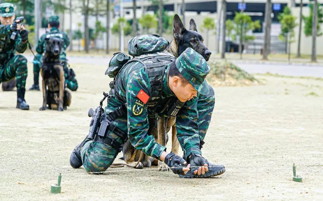南部戰(zhàn)區(qū)，軍事力量與戰(zhàn)略發(fā)展的核心焦點(diǎn)，南部戰(zhàn)區(qū)，軍事力量布局與戰(zhàn)略發(fā)展的核心焦點(diǎn)